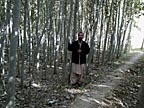 Forestry professor provides expertise to Afghans 