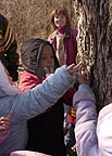 Touch of Nature offers maple syrup fun 