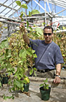New federal grant fuels soybean research at SIUC