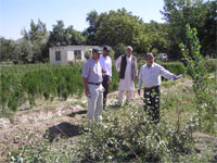 Groninger inspects saplings in Afghanistan