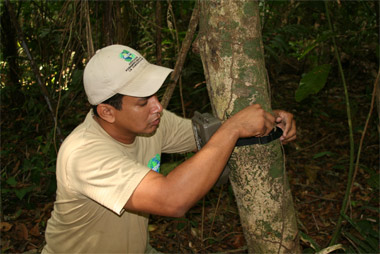 Researchers expand biodiversity study in Panama