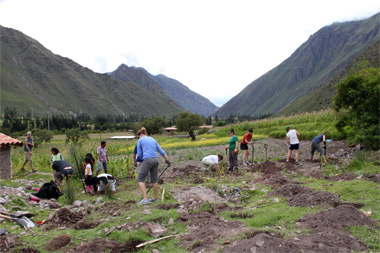 SIU Carbondale students plant fruit trees in Peru