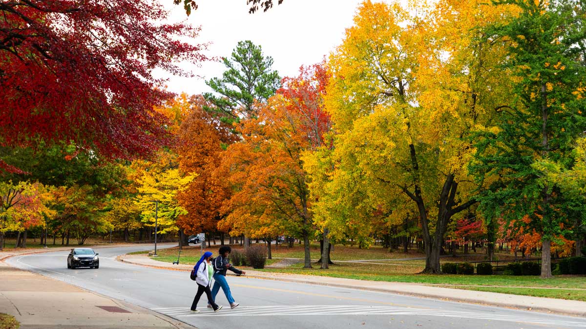 SIU Carbondale campus showing off the fall colors.