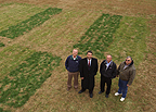 SIUC weighs best ground cover for campus