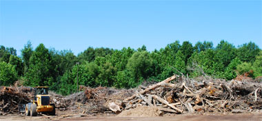 Debris pile