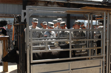 Members of the new Illinois National Guard Agriculture Development Team