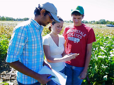 Studying soybean virus