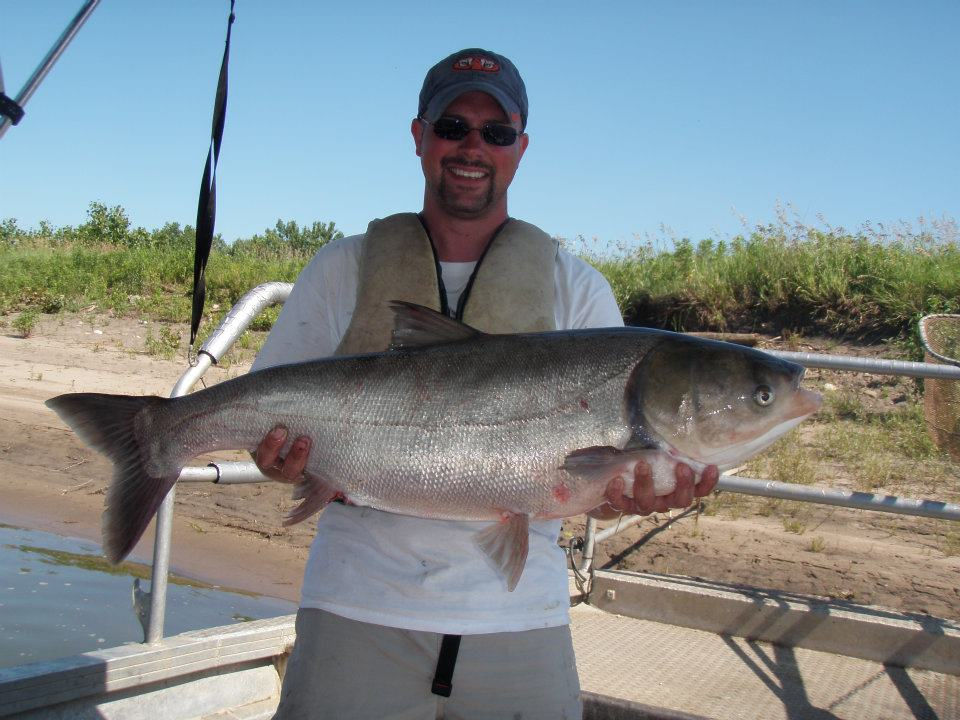 Anglers get caught up in Michigan's carp fishing - InForum