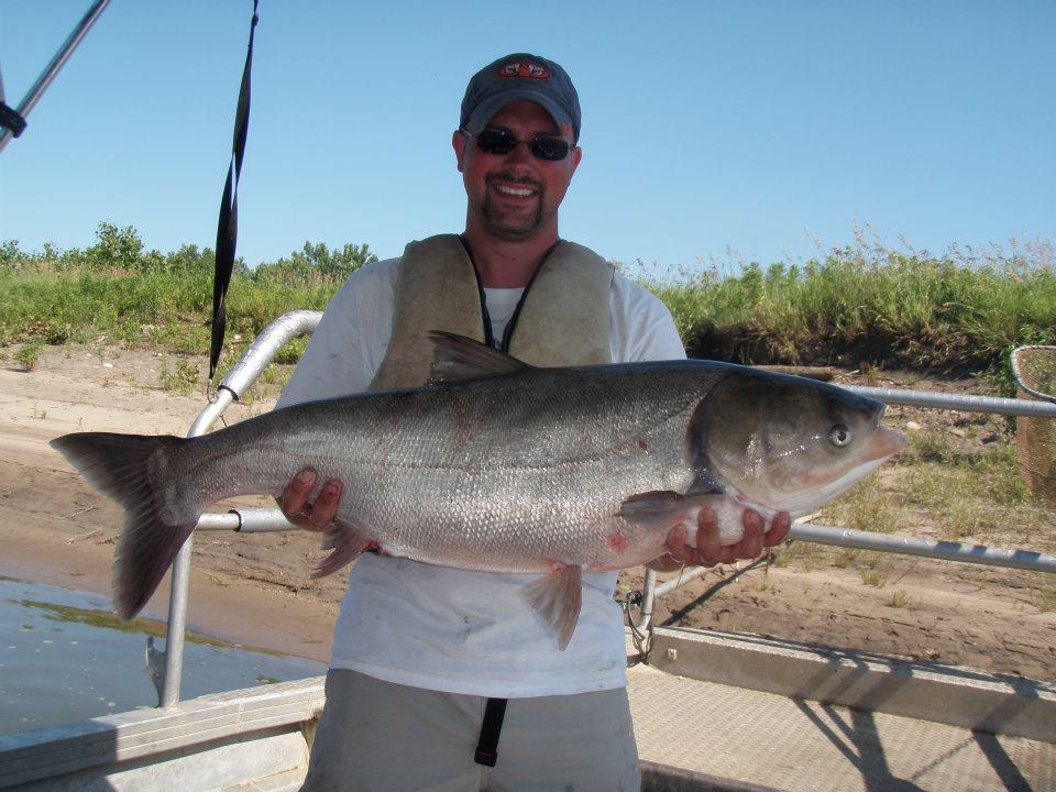 SIU receives 115-pound black carp specimen for invasive species study