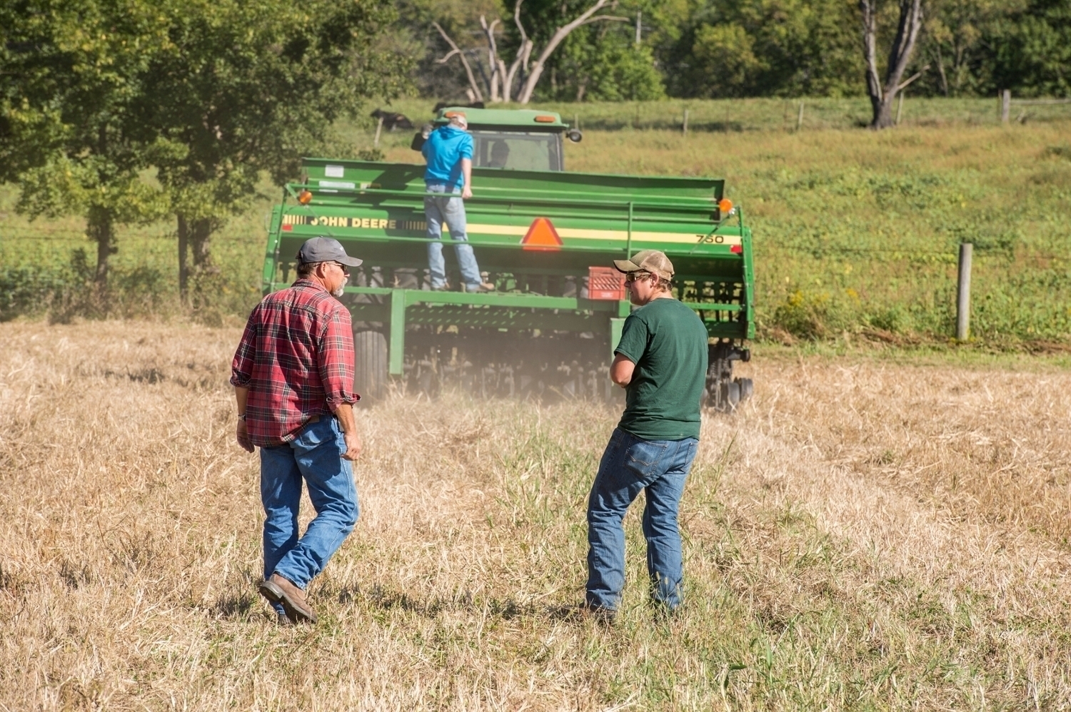 Barley planting