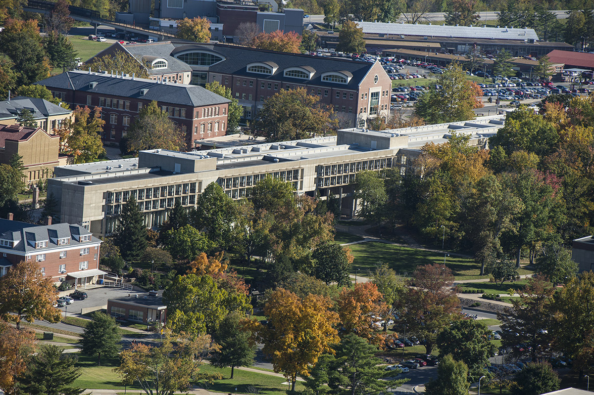 Four students set to represent SIU at diversity and inclusion summit in ...