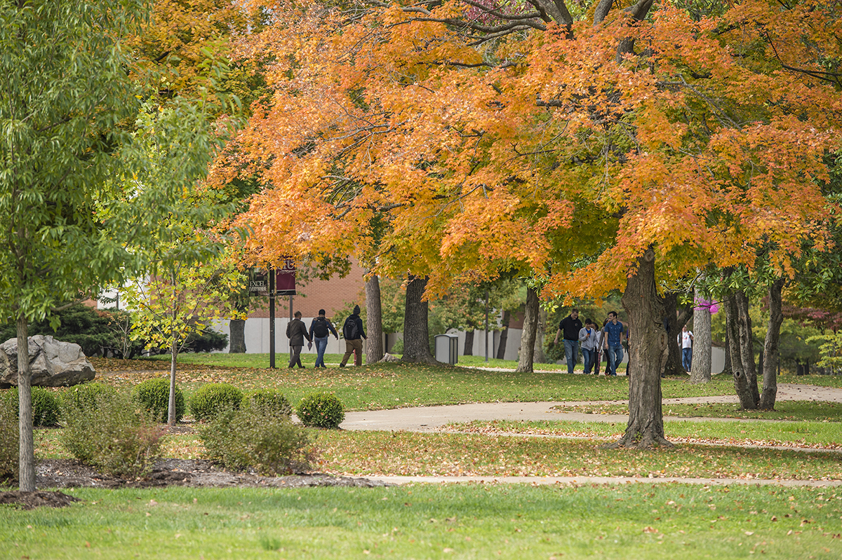 Campus in the fall