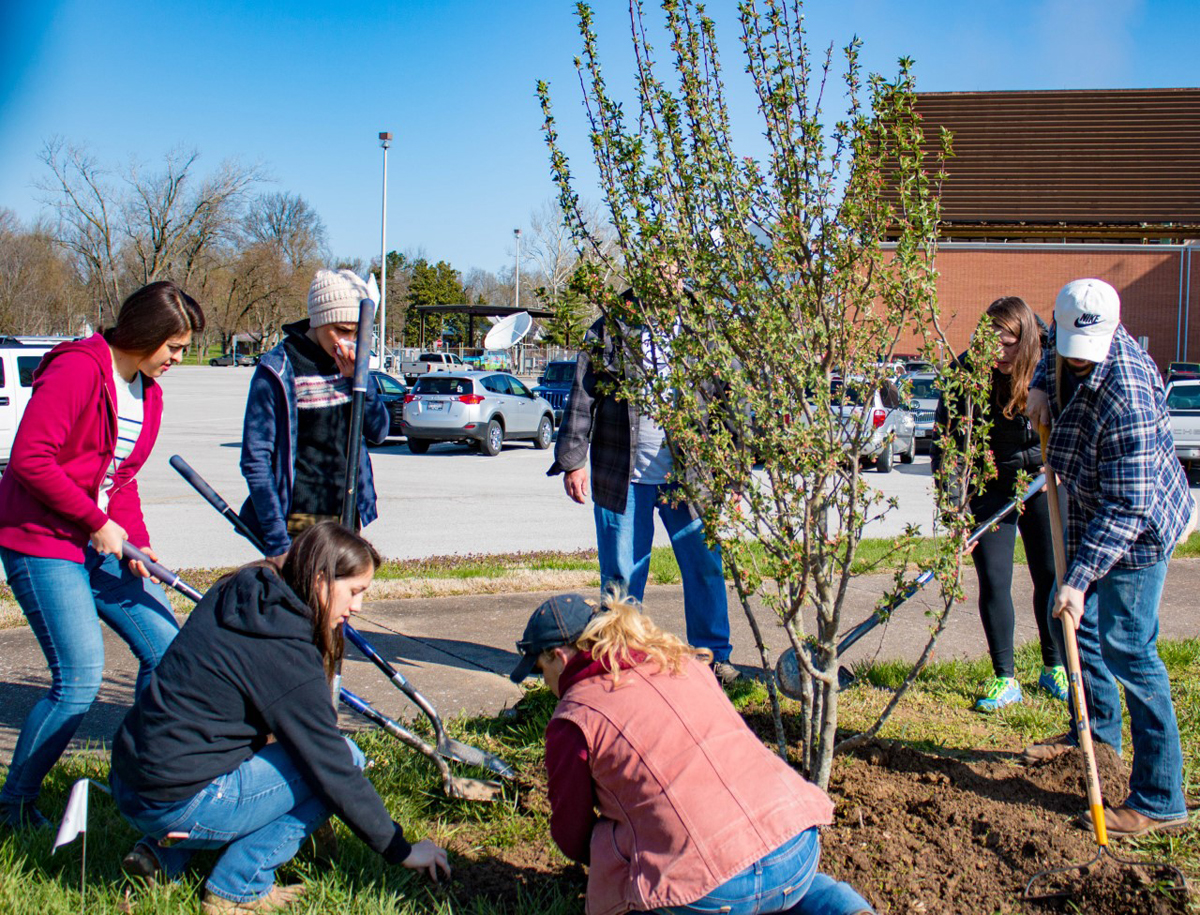 tree planting