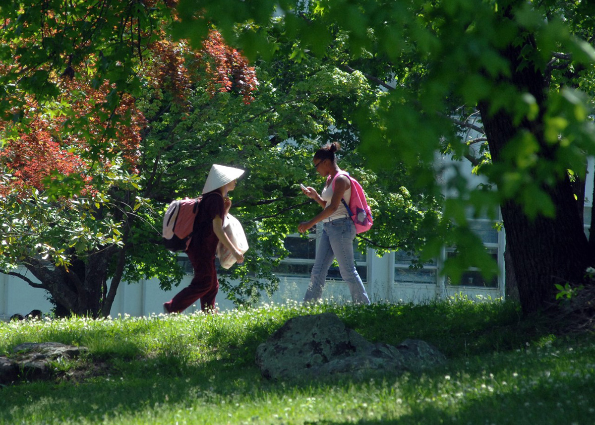 campus trees