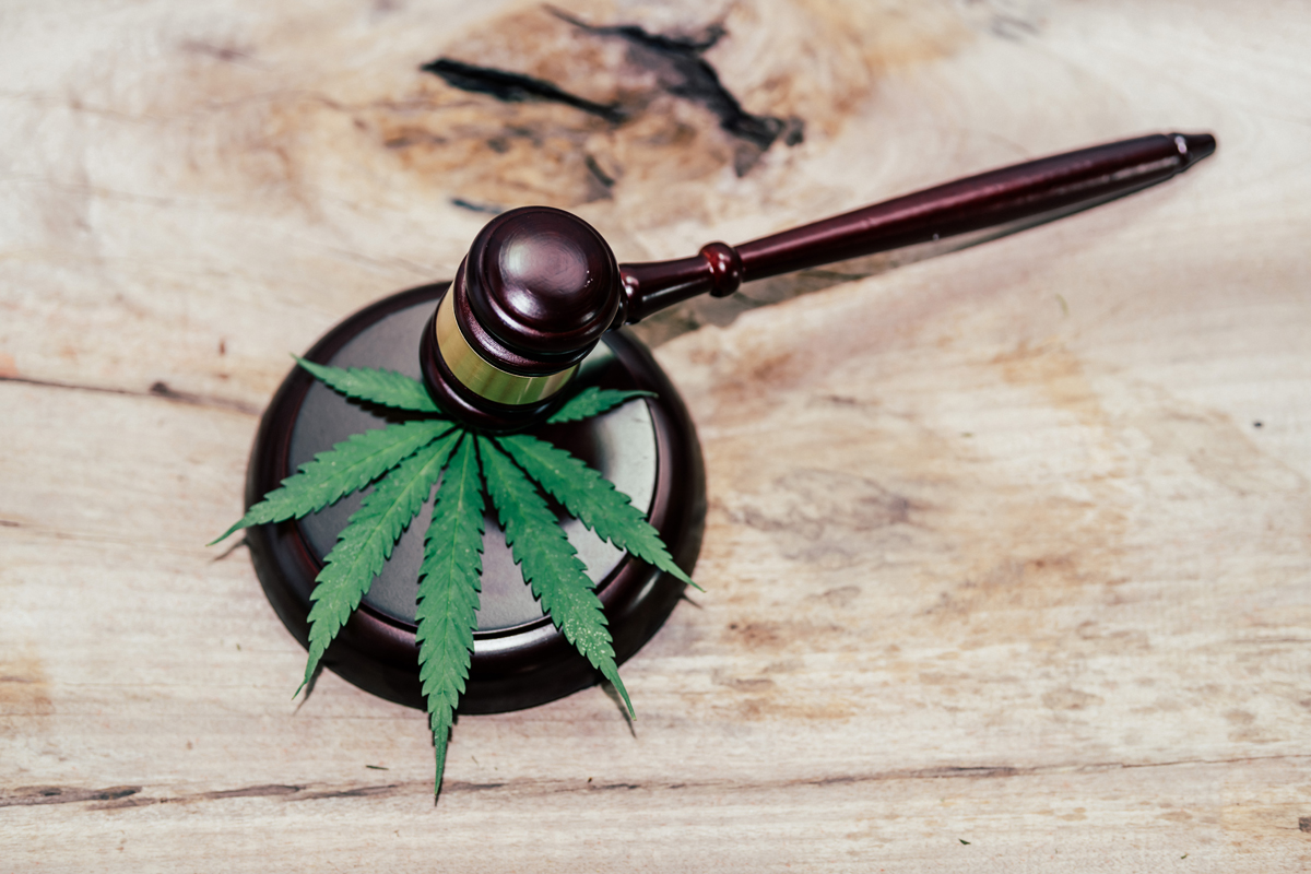 Symposium to look at legal impact of Illinois' recreational marijuana law -  CANCELED