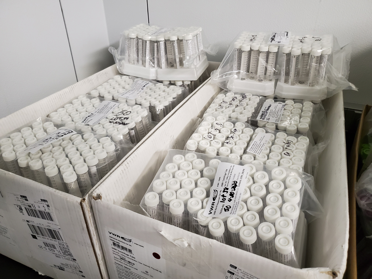 vials in a box