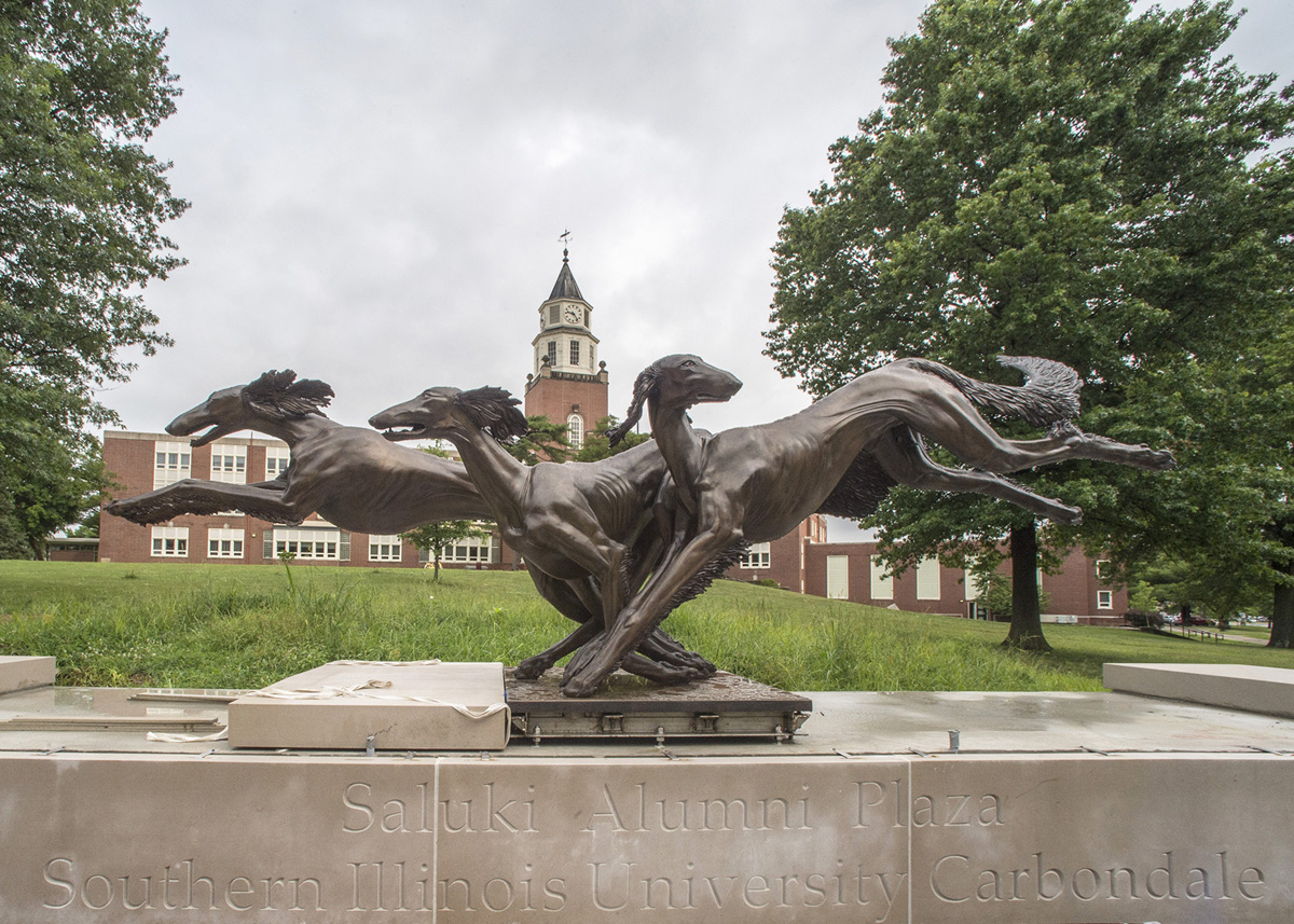 Alumni Saluki Dogs statue