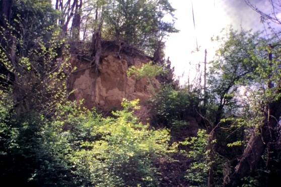 MCNAIRY OUTCROP