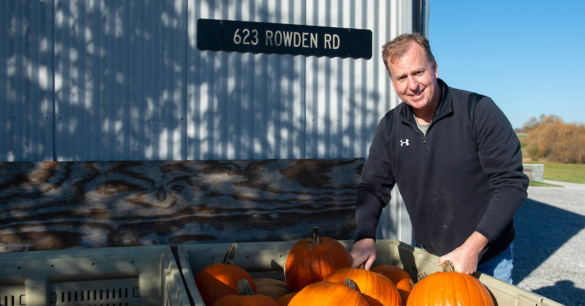 Alan Walters, pumpkin research