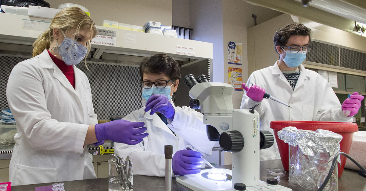 researchers in a lab at a microscope