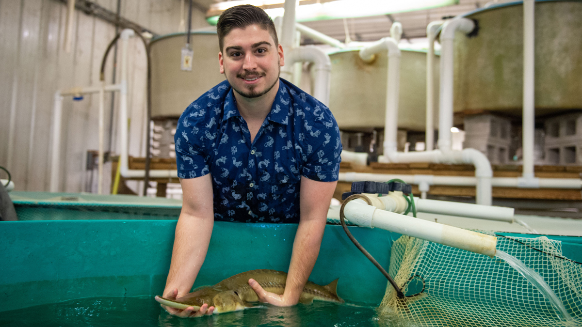 richard Flamio holding a rare pallid sturgeon