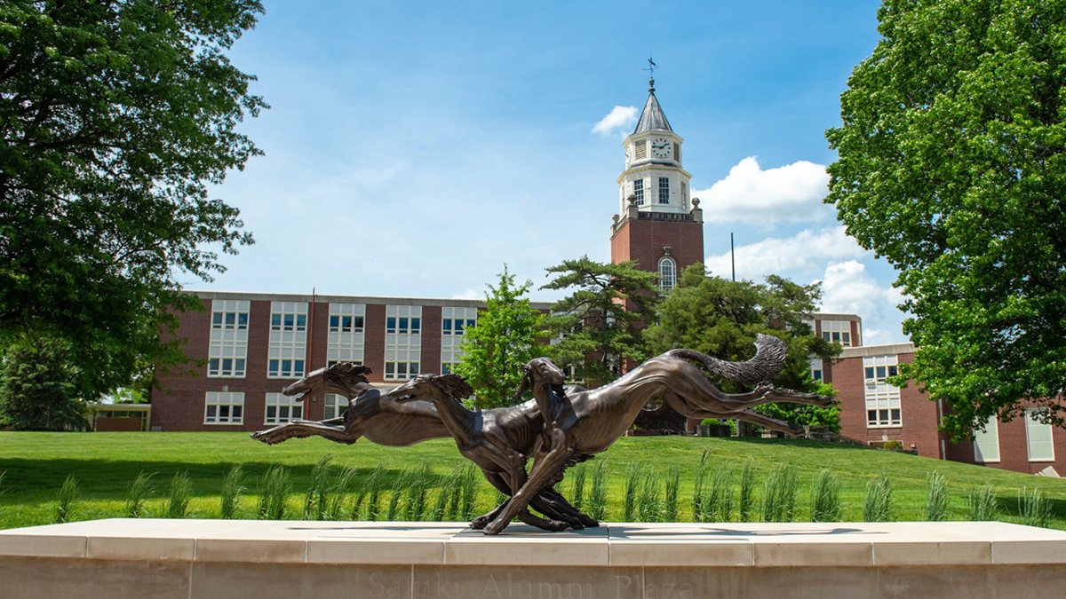 Saluki statue with Pulliam clocktower in the background