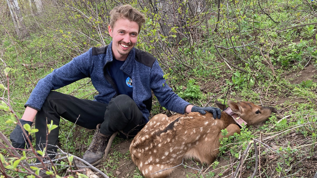 student with elk fawn