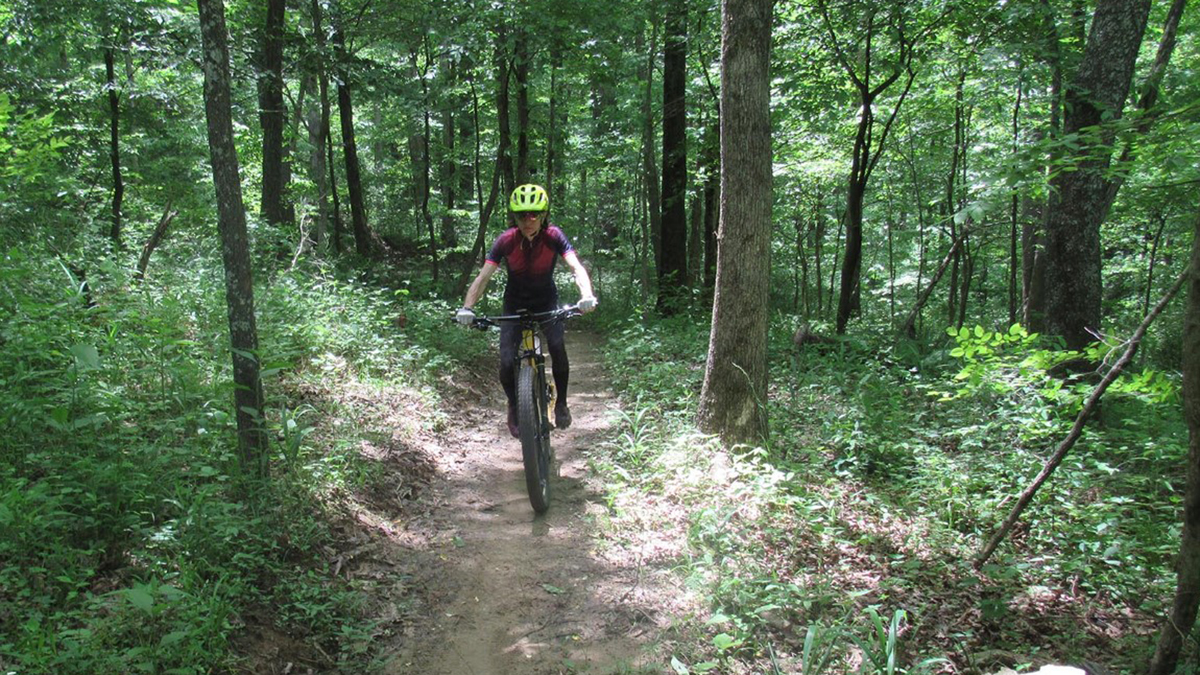 person riding a bicycle on wooded trails