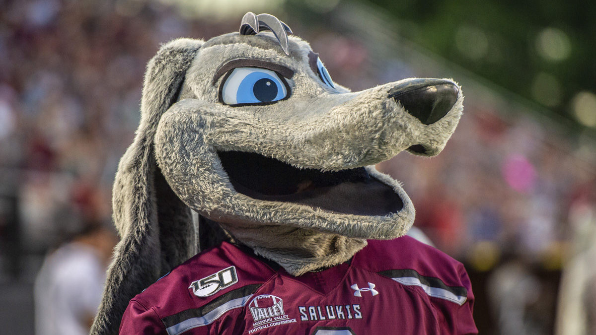 SIU's Grey Dawg