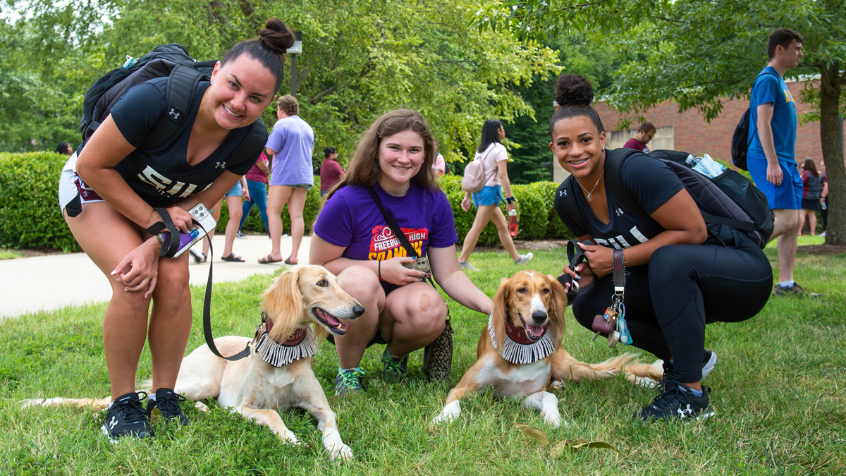 students with saluki dogs