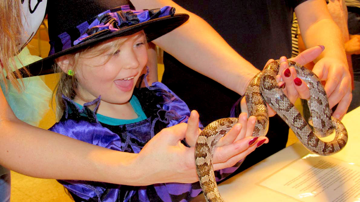 little girl dresses as a witch, holding a snake