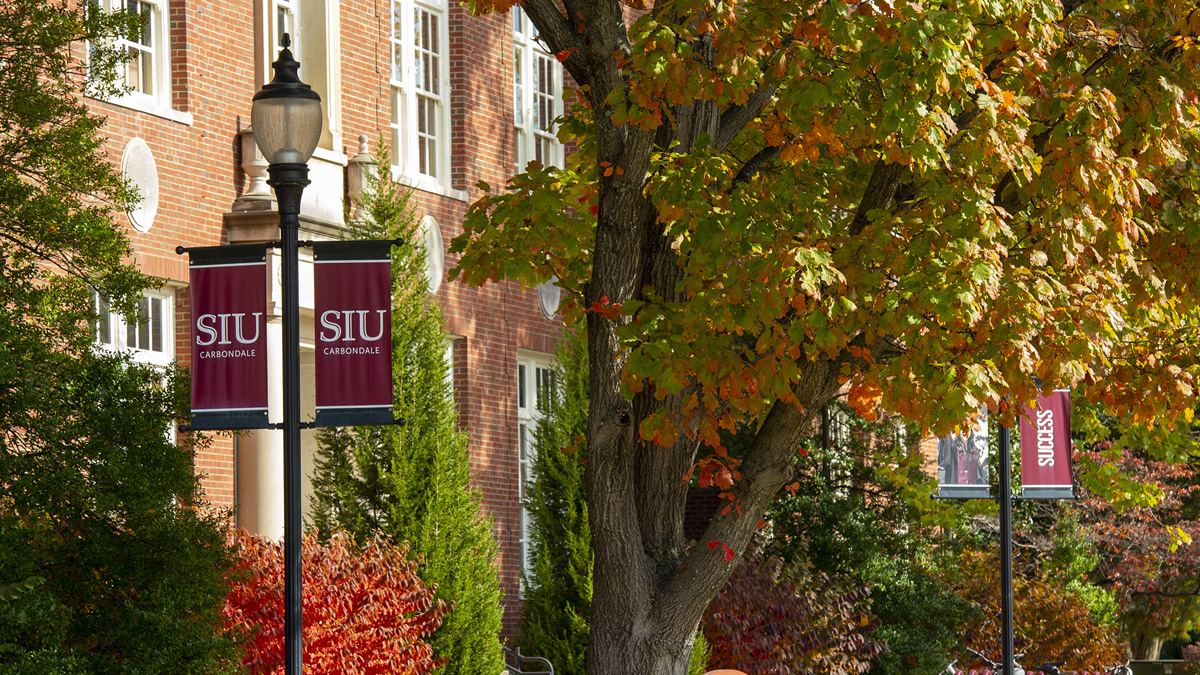 fall scene on SIU carbondale campus