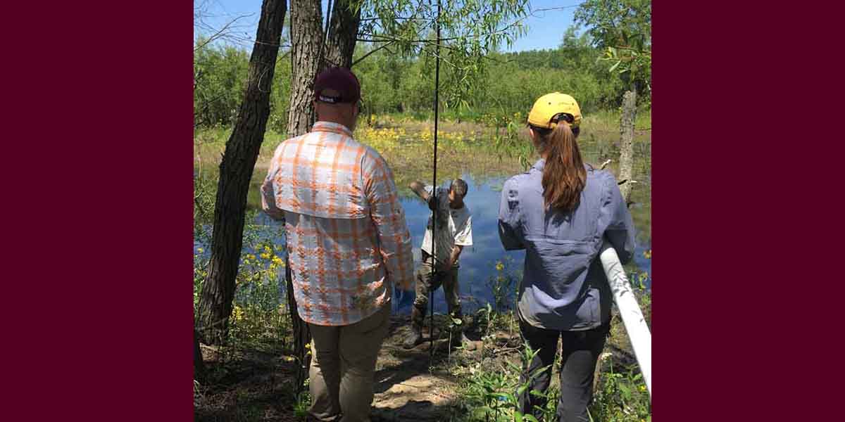 people taking samples from a river