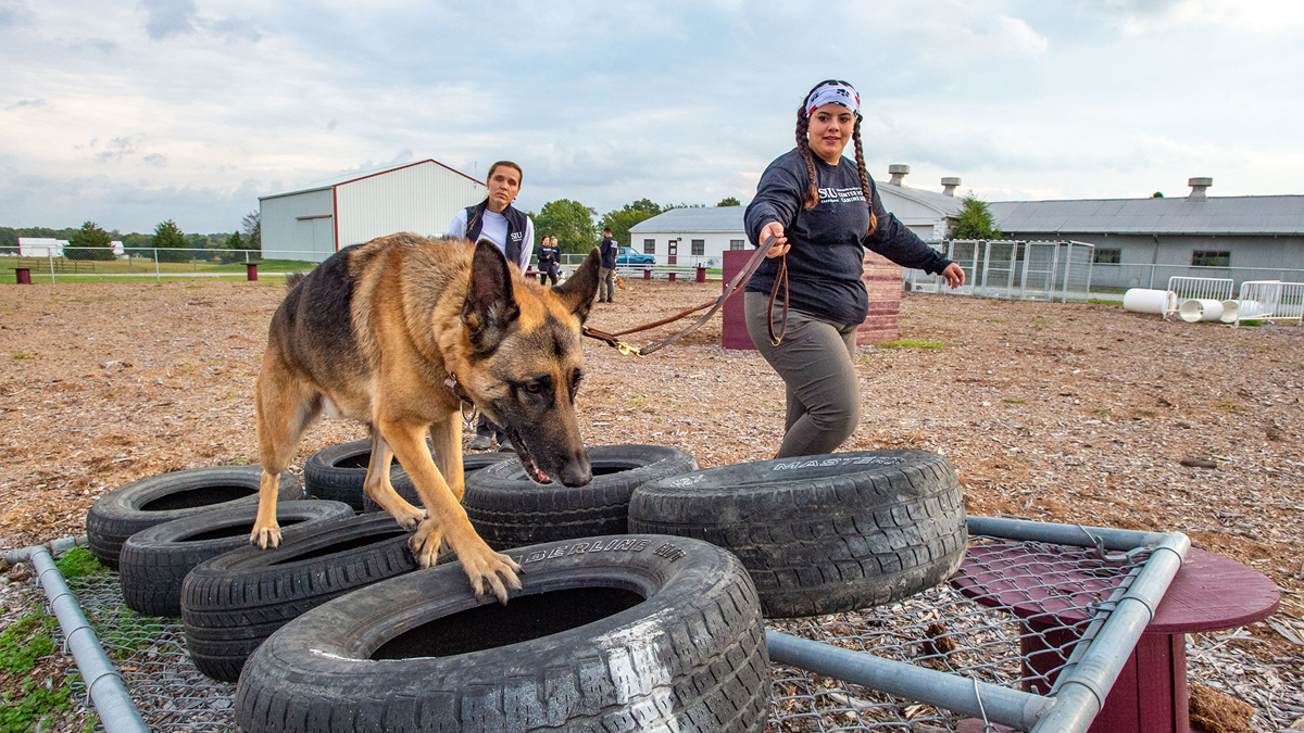 two women working with a dog