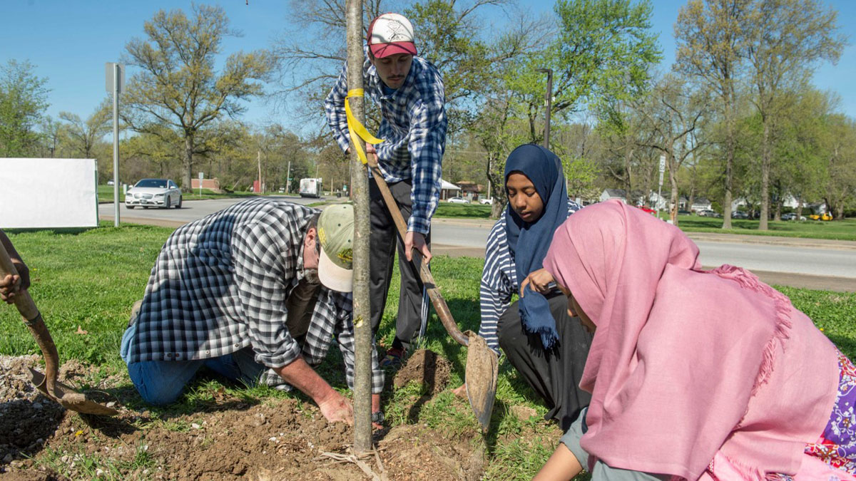 people planting a tree