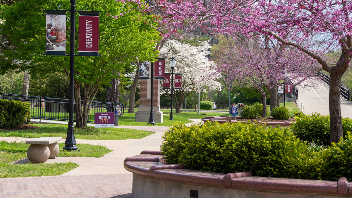 SIU campus in the spring