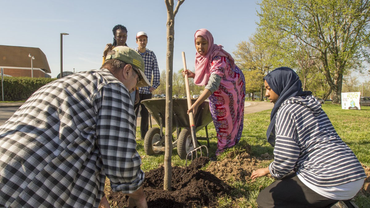 planting trees on SIU's campus