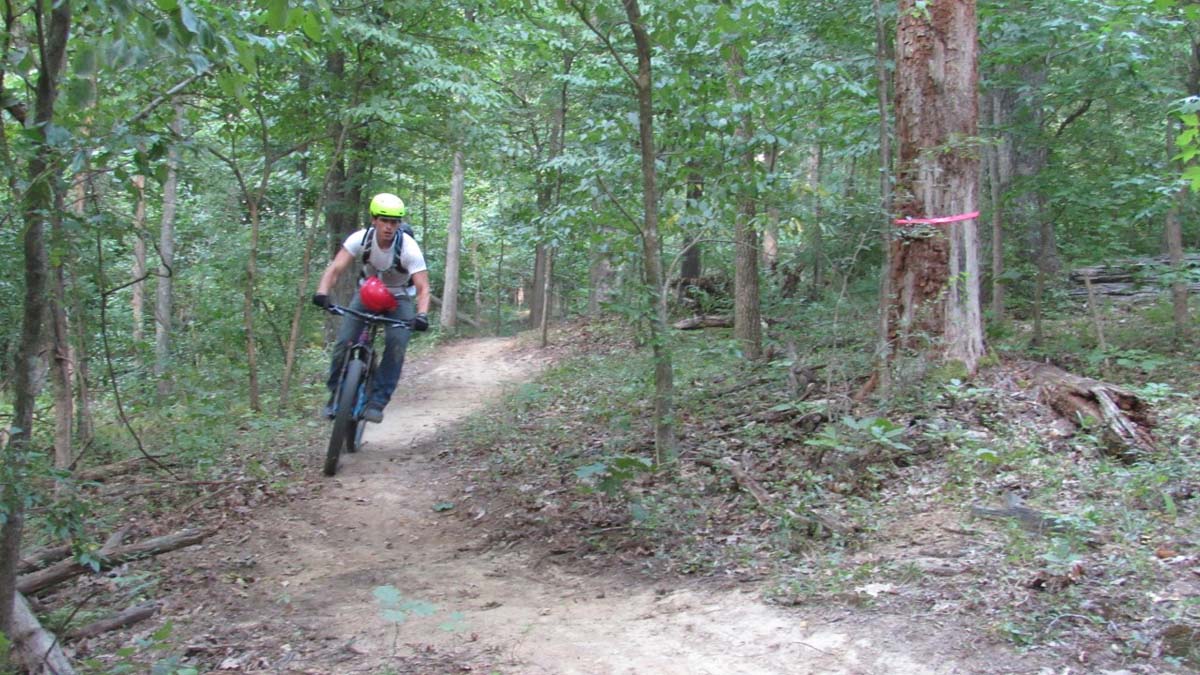 person riding a bike on a trail, in the woods