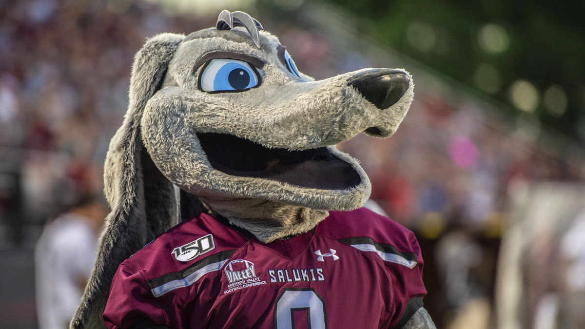 Grey Dawg, the mascot for the SIU Salukis