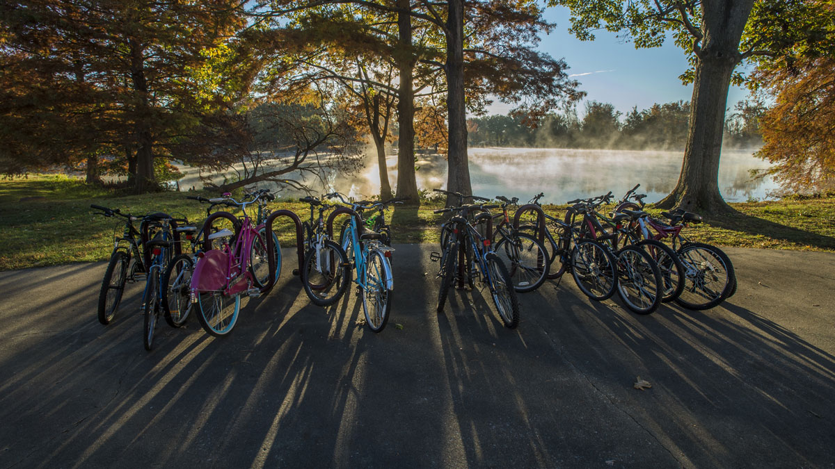 campus lake at sunrise. sunlight is coming through the trees and bicycles, creating long shadows on the ground