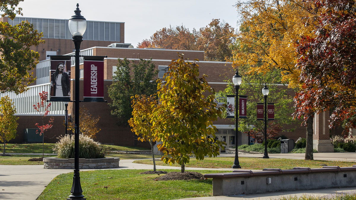 Fall on campus. Banners on light poles are visible and they say Leadership, Creativity and SIU Carbondale
