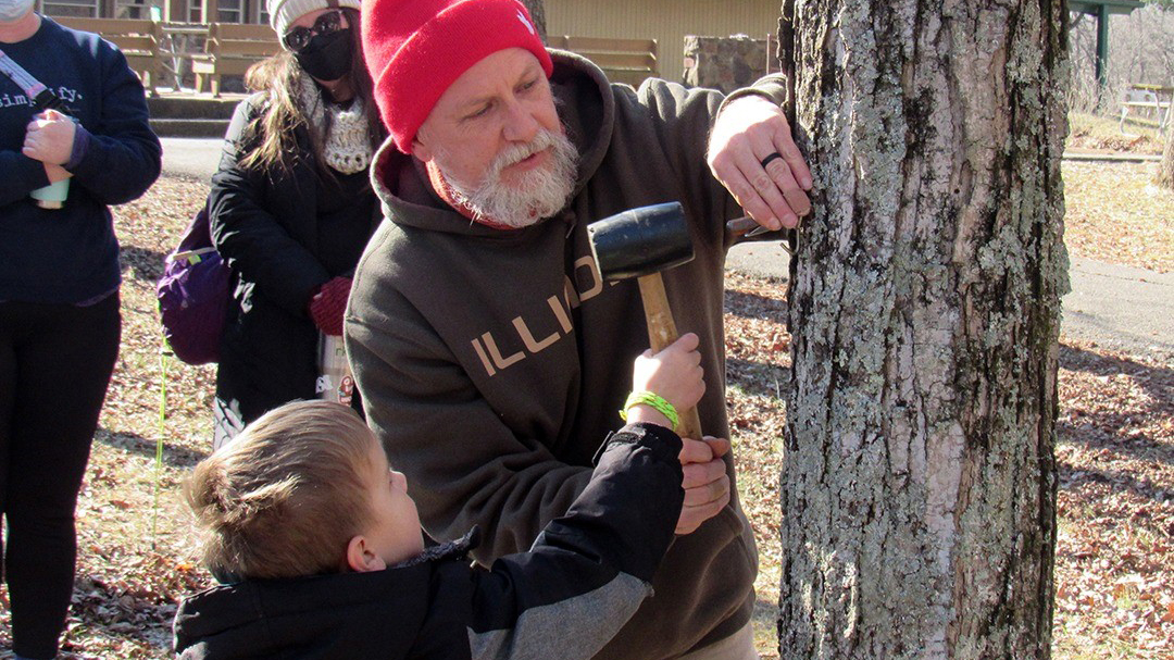 Man showing a young boy how to tap maple trees for sap
