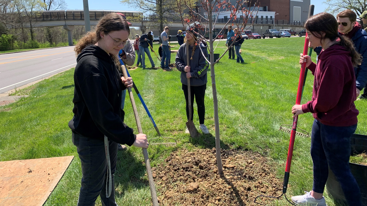 SIU students helping plant trees on campus