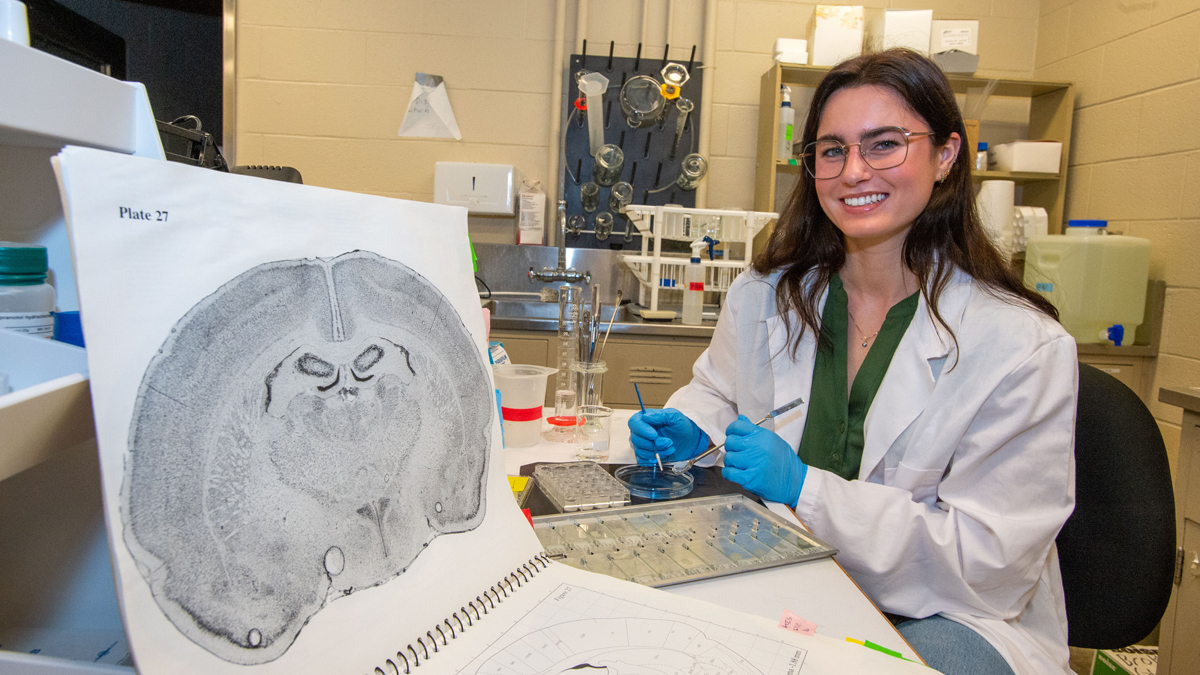 A female student examines rat brain specimens