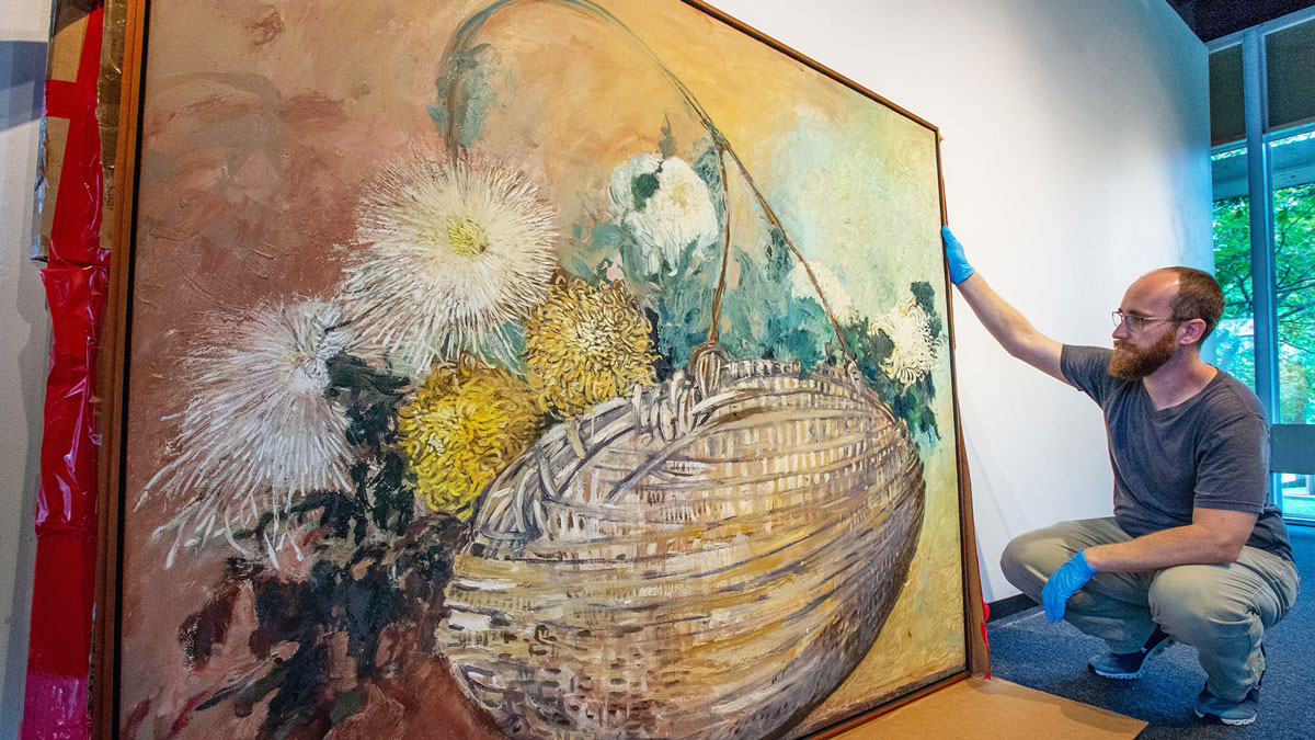 Museum curator prepares to hang a painting of chrysanthemums