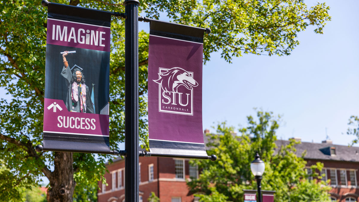 A banner on a light post on the campus of SIU. The banner says Success