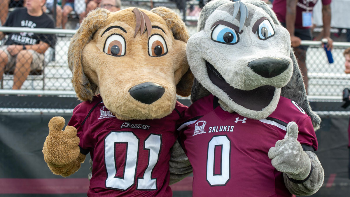 Brown Dawg and Grey Dawg at a football game in Saluki Stadium