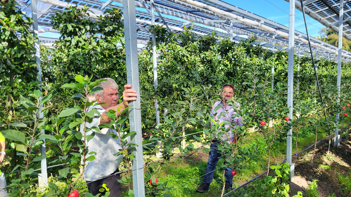 SIU-led delegation explores getting crops and solar energy from the same plots