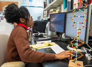 A woman is looking at a computer screen. There is a DNA model in the foreground.