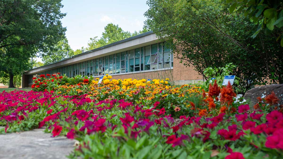 The image shows beautiful flowers planted around the Ag Building on the campus of SIU